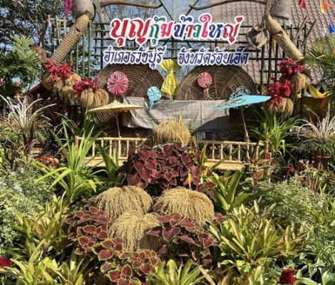 ประเพณีบุญกุ้มข้าวใหญ่อำเภอธวัชบุรี ประจำปี 2569